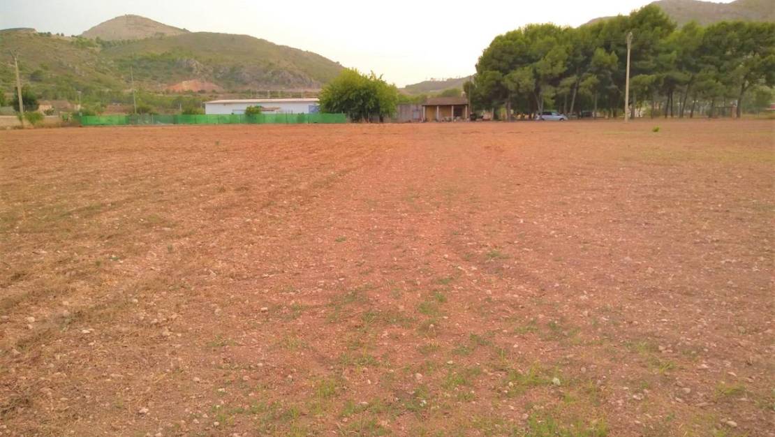 Sale - Land - Aspe - Aspe Centro