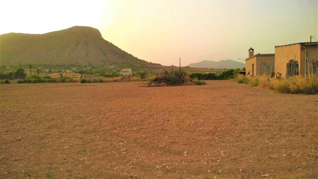 Sale - Land - Aspe - Aspe Centro