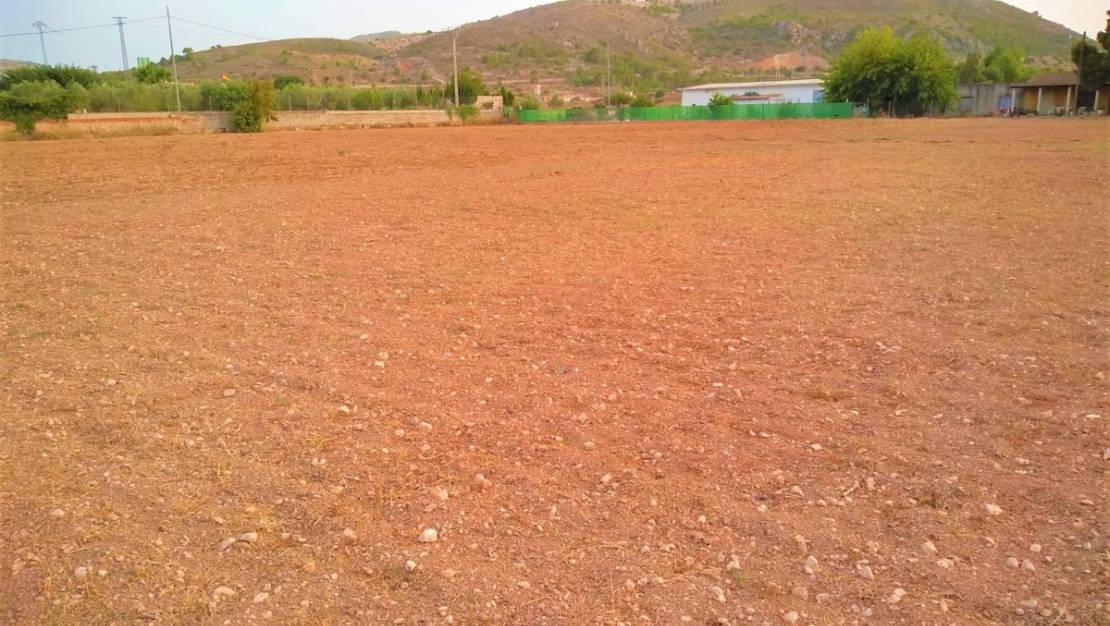 Sale - Land - Aspe - Aspe Centro