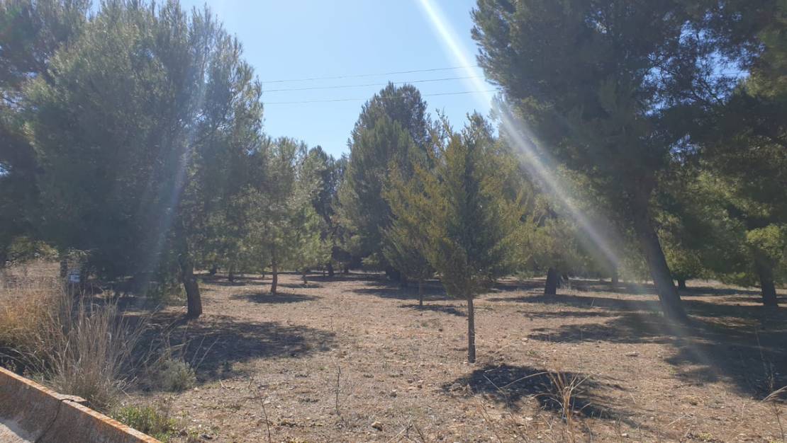 Sale - Land - Beneixama - Beneixama Centro