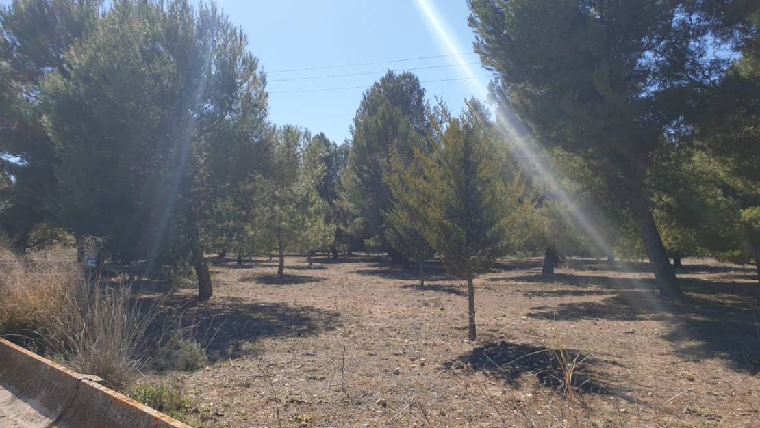 Sale - Land - Beneixama - Beneixama Centro