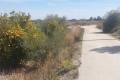 Sale - Land - Benferri