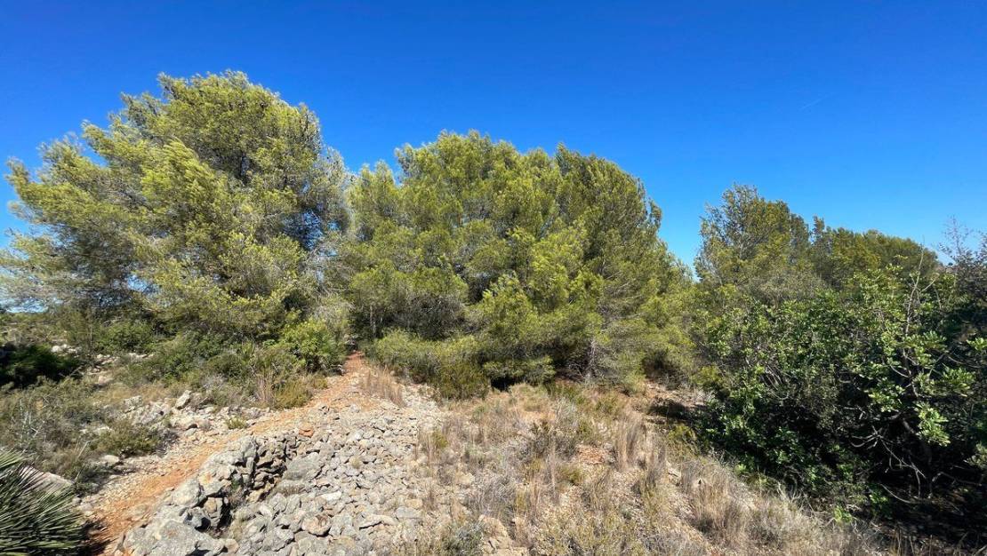 Sale - Land - Benissa - Benissa Centro