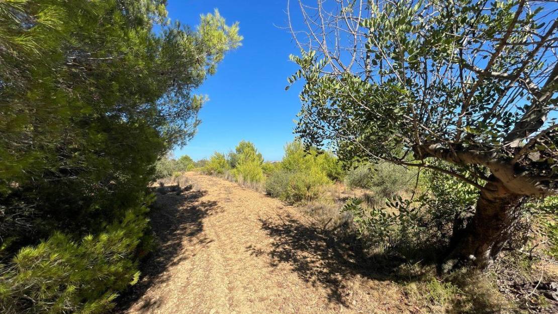 Sale - Land - Benissa - Benissa Centro