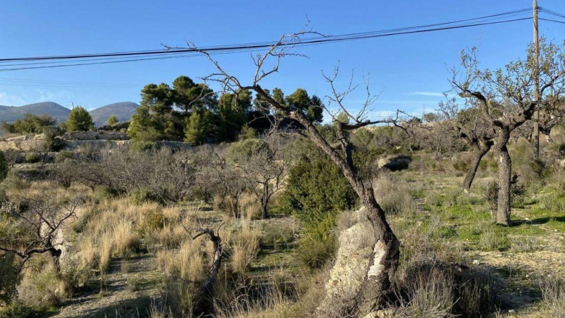 Sale - Land - Benissa - Benissa Centro