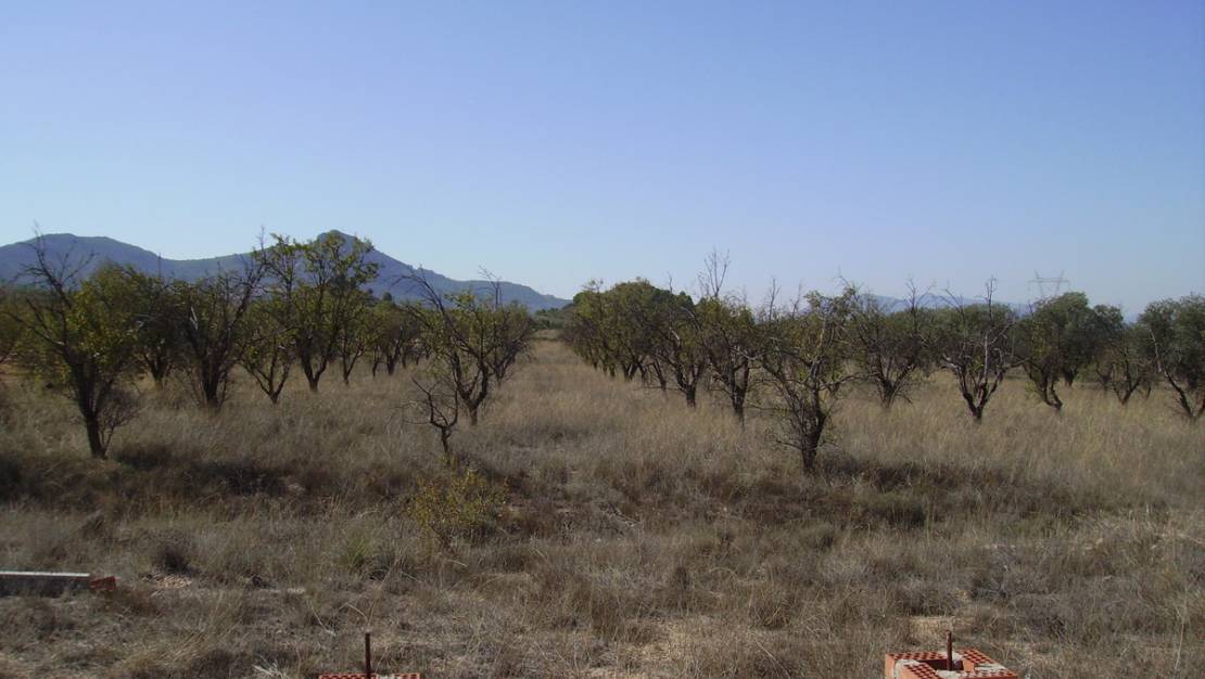 Sale - Land - Biar - Biar Centro