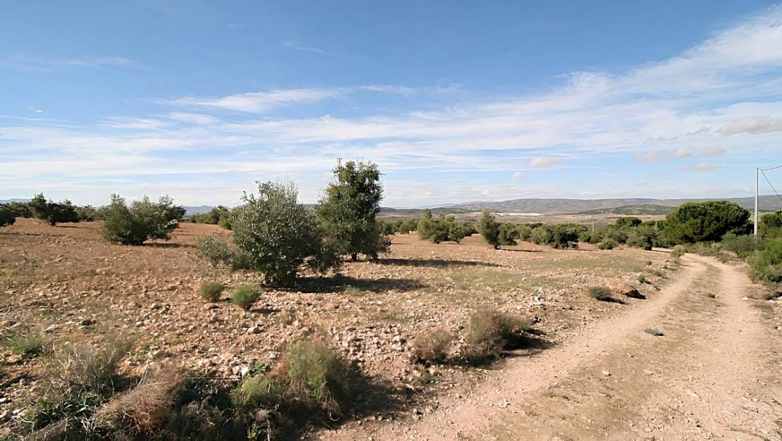 Sale - Land - Biar - Biar Centro