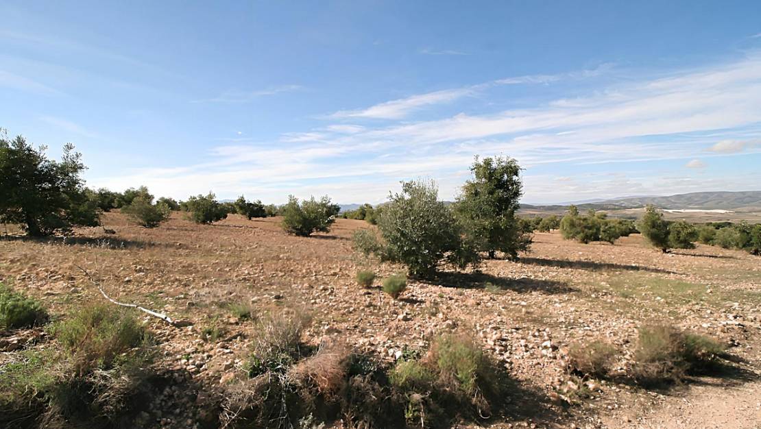 Sale - Land - Biar - Biar Centro