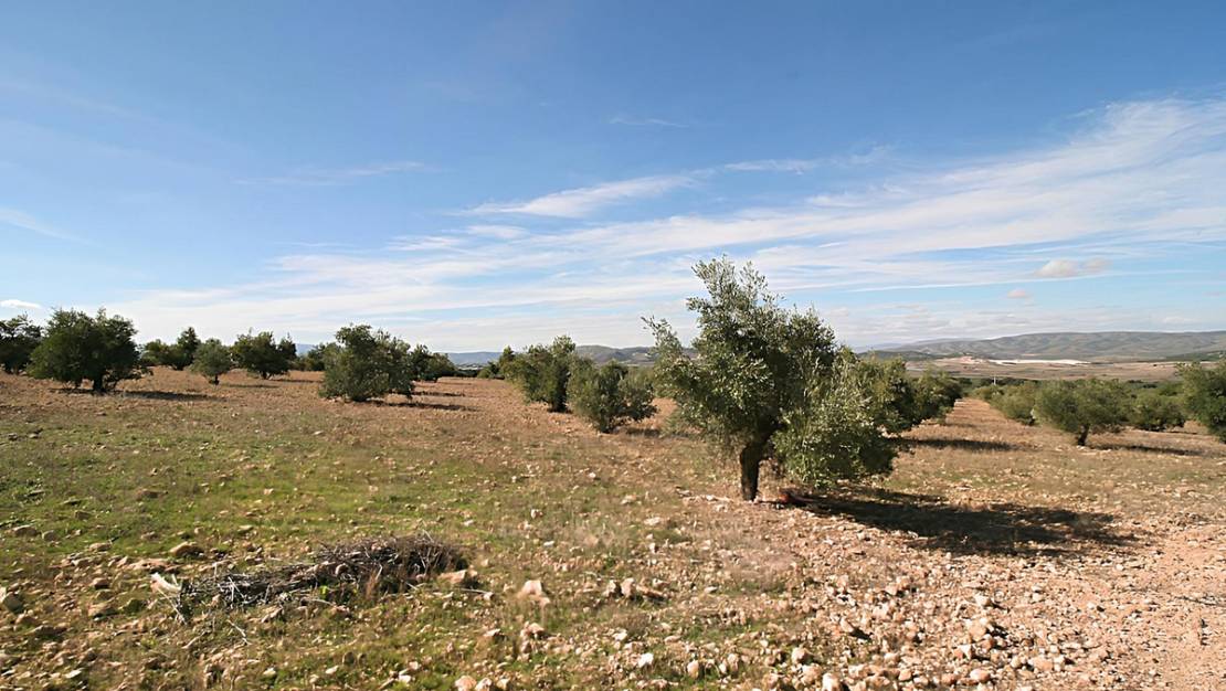 Sale - Land - Biar - Biar Centro