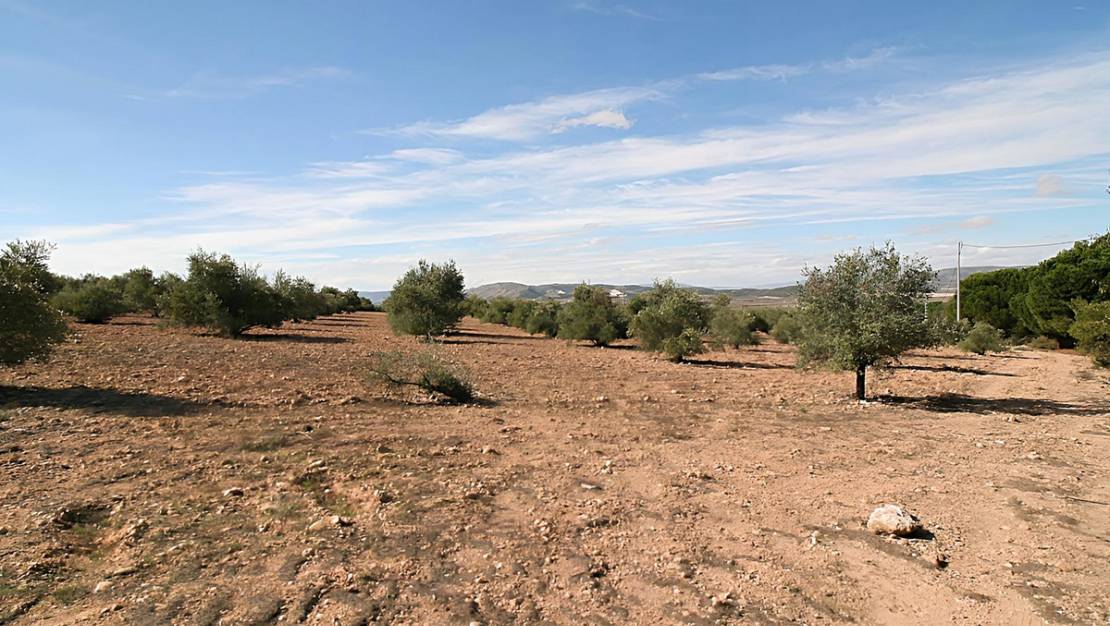 Sale - Land - Biar - Biar Centro