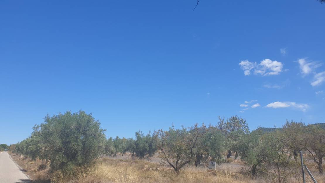 Sale - Land - Biar - Biar Centro