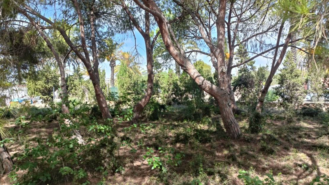 Sale - Land - Cabo Roig