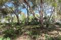 Sale - Land - Cabo Roig
