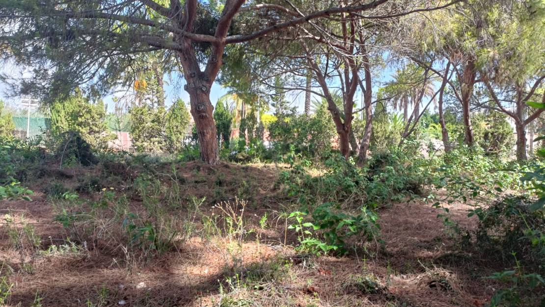Sale - Land - Cabo Roig