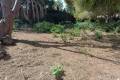 Sale - Land - Cabo Roig