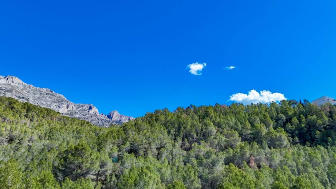 Sale - Land - Callosa d'en Sarria - Callosa d'en Sarria Centro