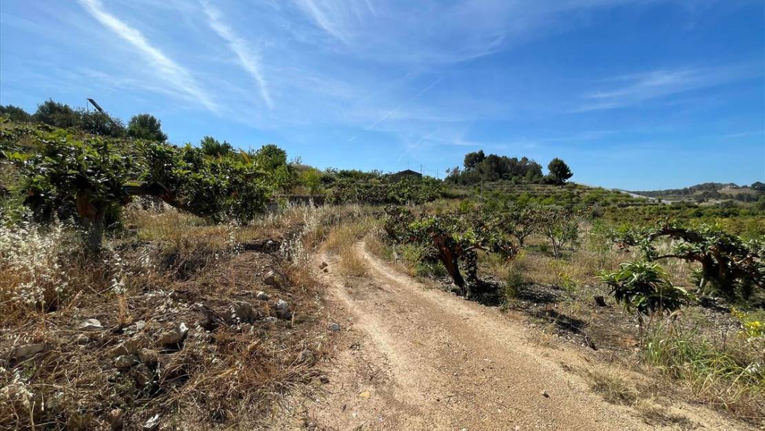 Sale - Land - Callosa d'en Sarria - Callosa d'en Sarria Centro