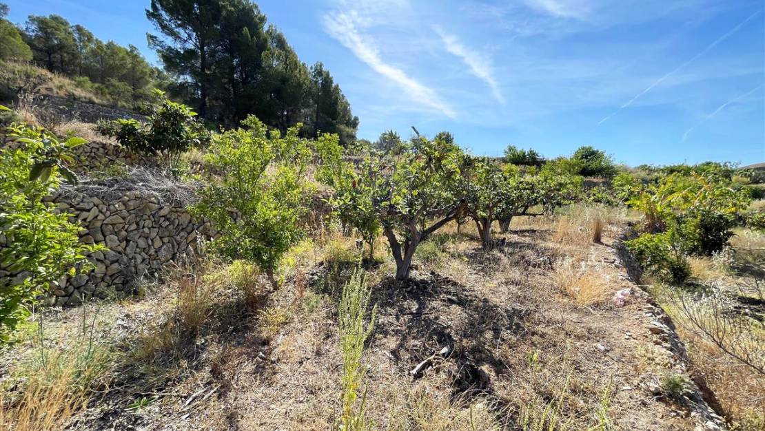 Sale - Land - Callosa d'en Sarria - Callosa d'en Sarria Centro