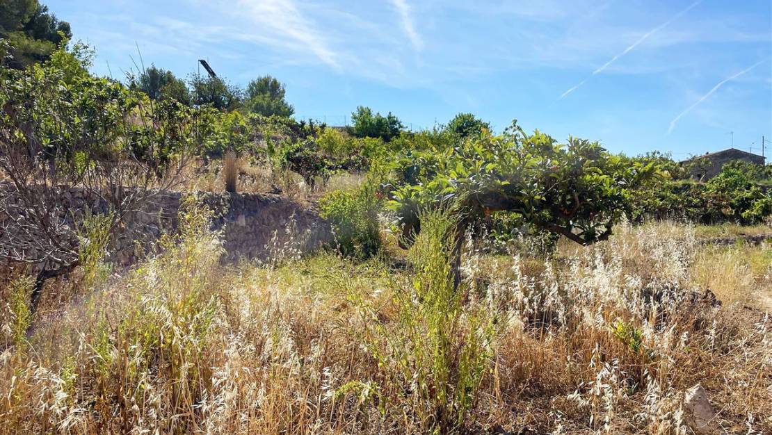 Sale - Land - Callosa d'en Sarria - Callosa d'en Sarria Centro