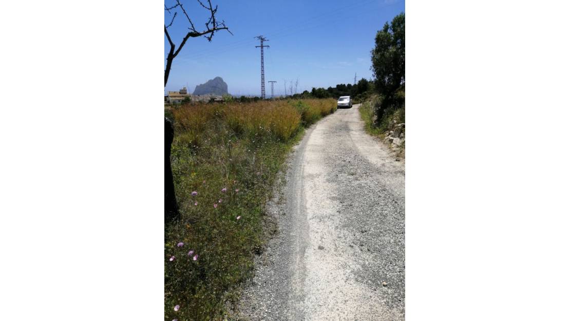 Sale - Land - Calpe - Calpe Centro