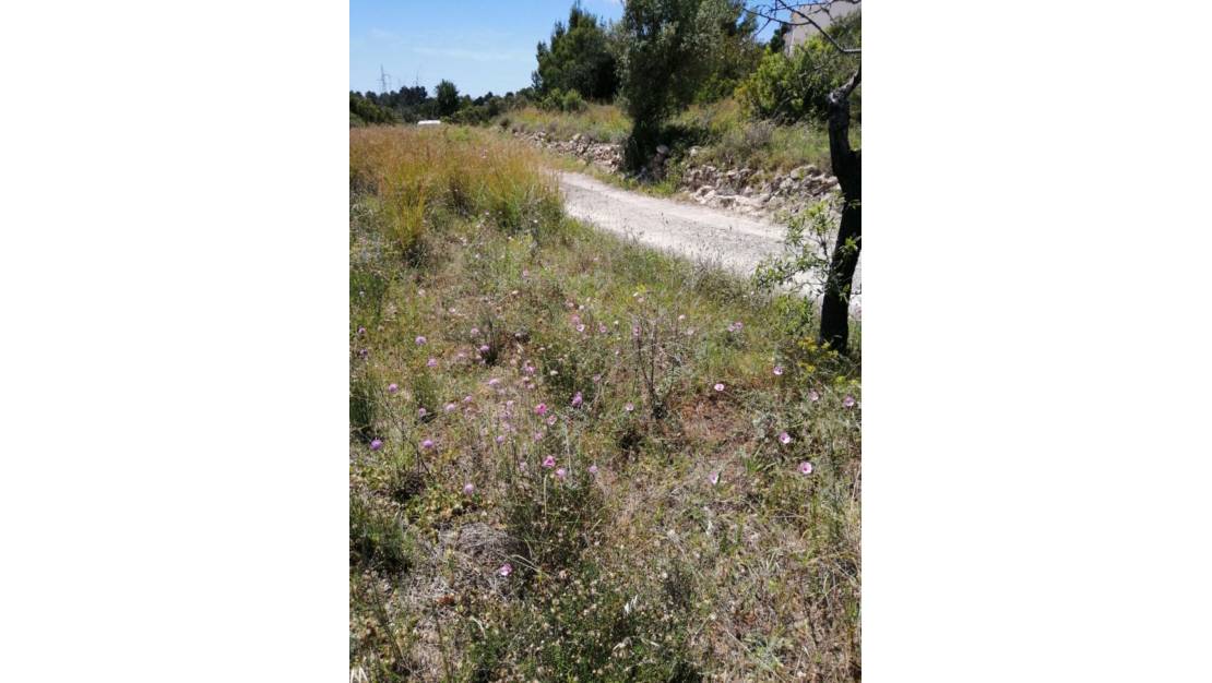 Sale - Land - Calpe - Calpe Centro