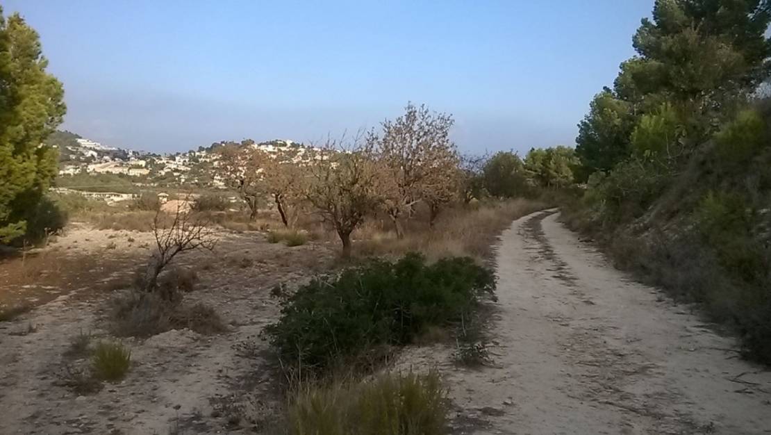 Sale - Land - Calpe - Calpe Centro