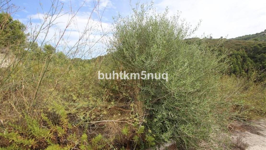 Sale - Land - Calpe - Calpe Centro