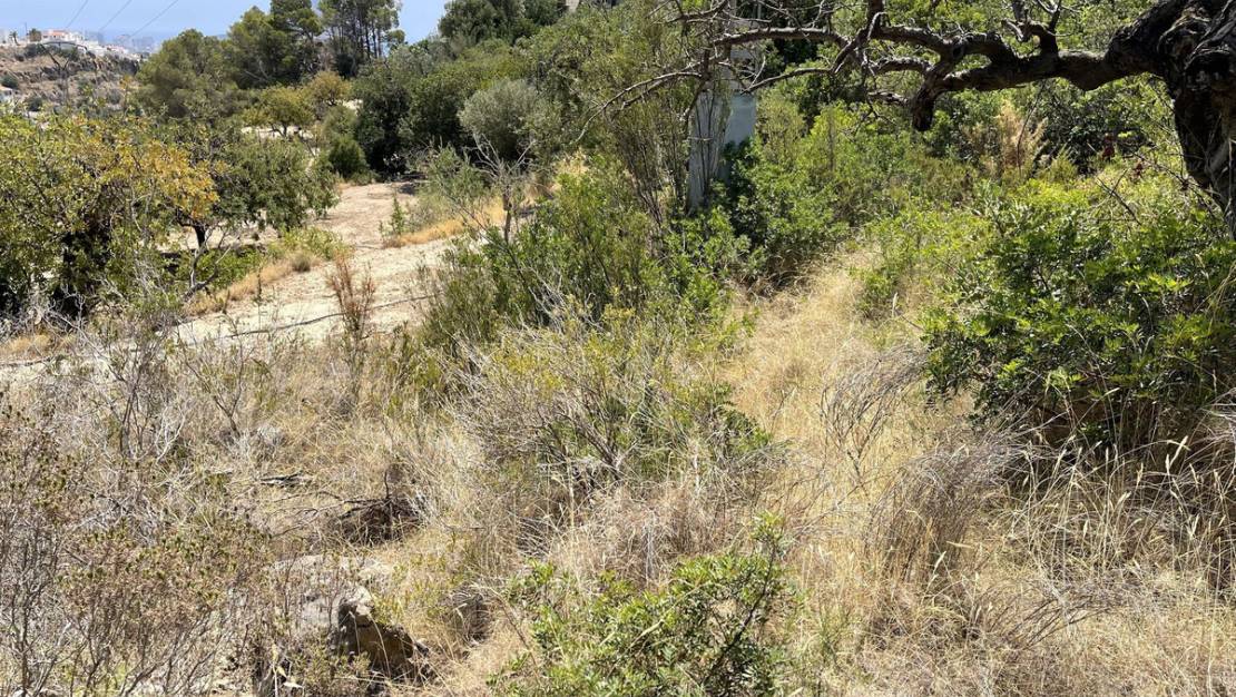 Sale - Land - Calpe - Calpe Centro