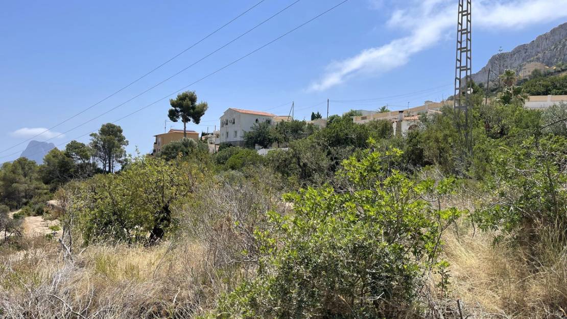 Sale - Land - Calpe - Calpe Centro