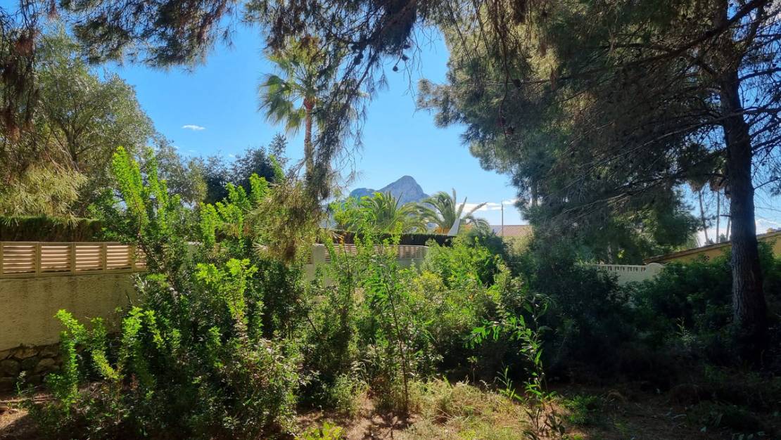 Sale - Land - Calpe - Calpe Centro