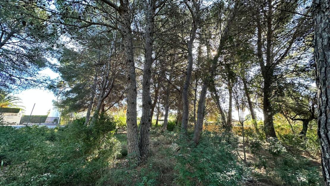 Sale - Land - Calpe - Calpe Centro