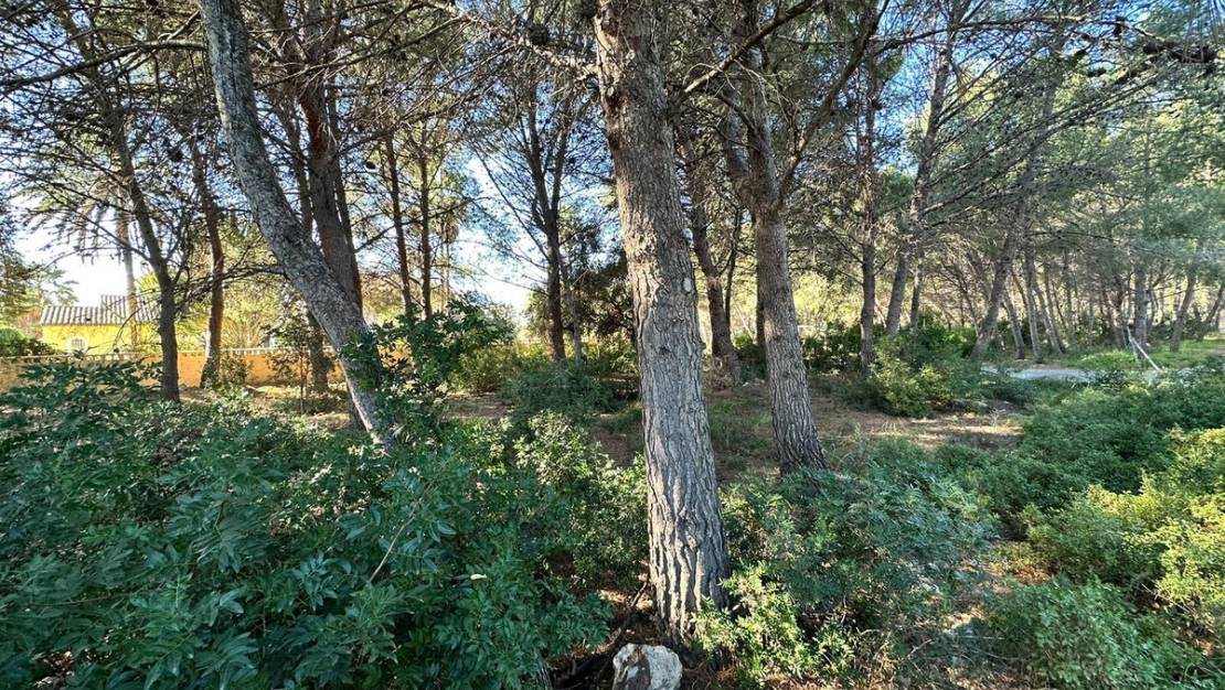 Sale - Land - Calpe - Calpe Centro