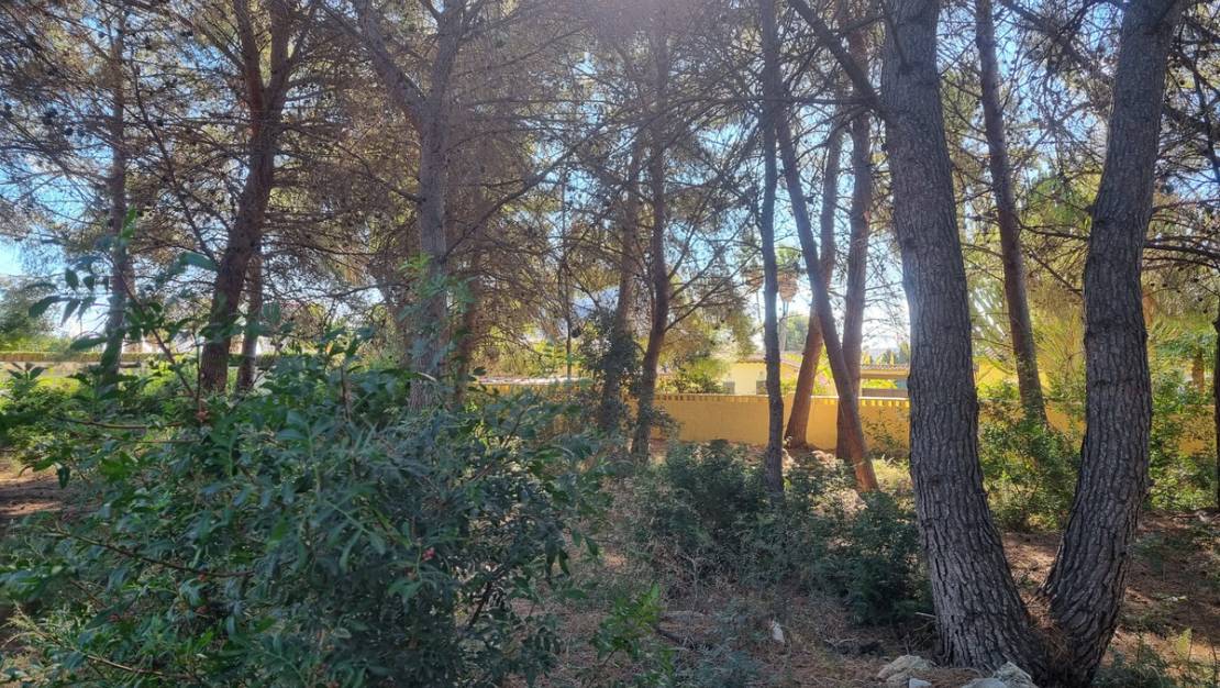 Sale - Land - Calpe - Calpe Centro