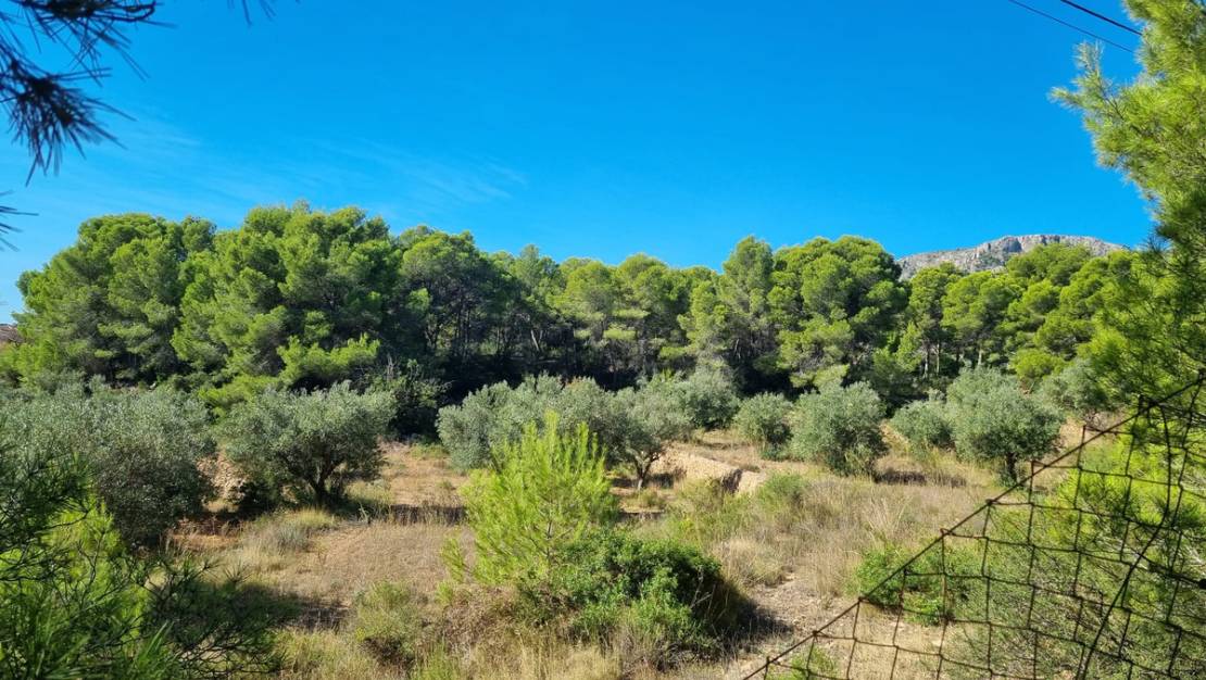 Sale - Land - Calpe - Calpe Centro