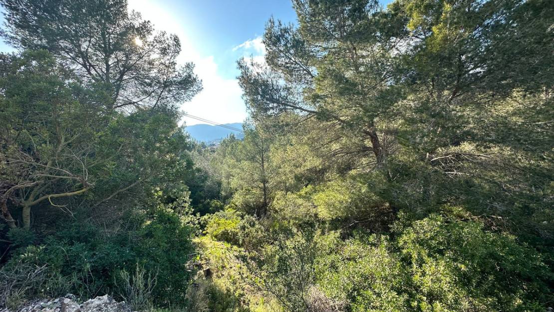 Sale - Land - Calpe - Calpe Centro