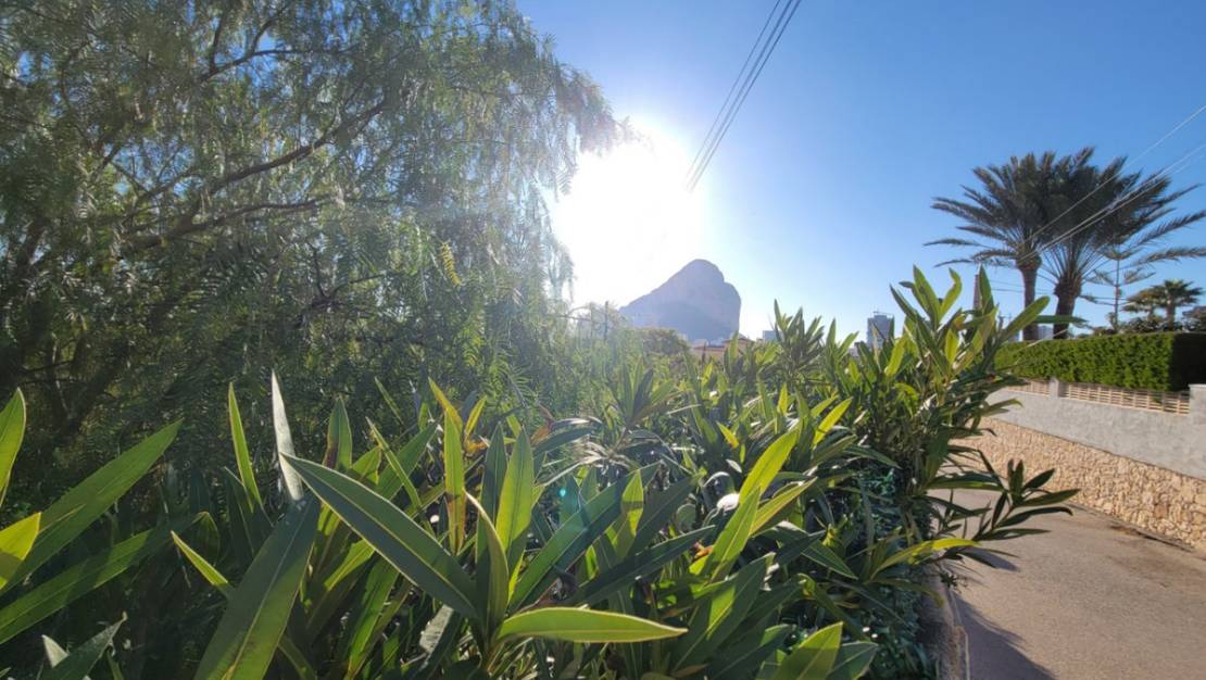 Sale - Land - Calpe - Calpe Centro