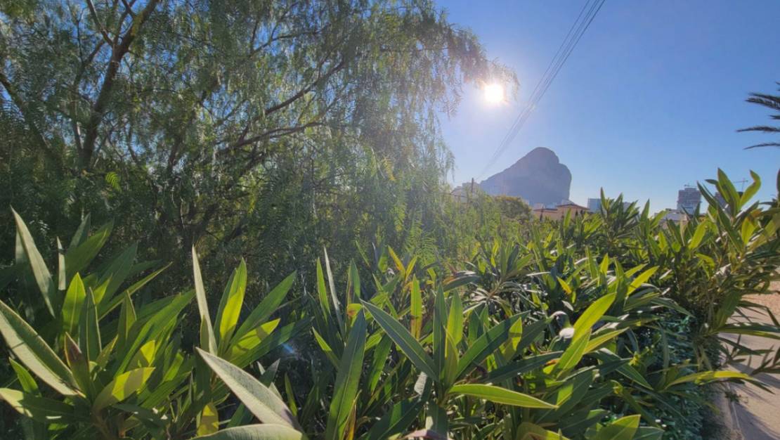 Sale - Land - Calpe - Calpe Centro