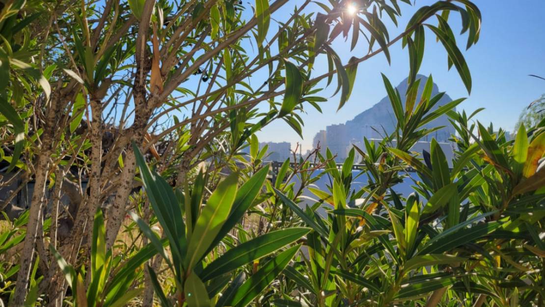 Sale - Land - Calpe - Calpe Centro