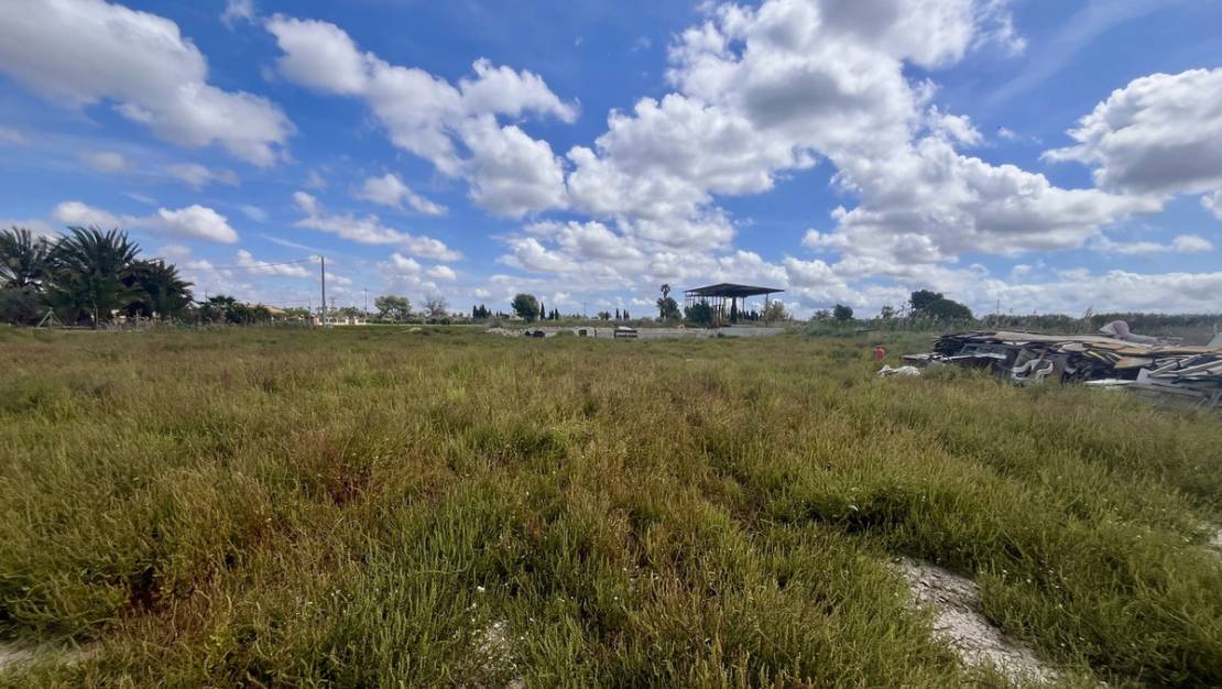 Sale - Land - Catral - Catral Centro