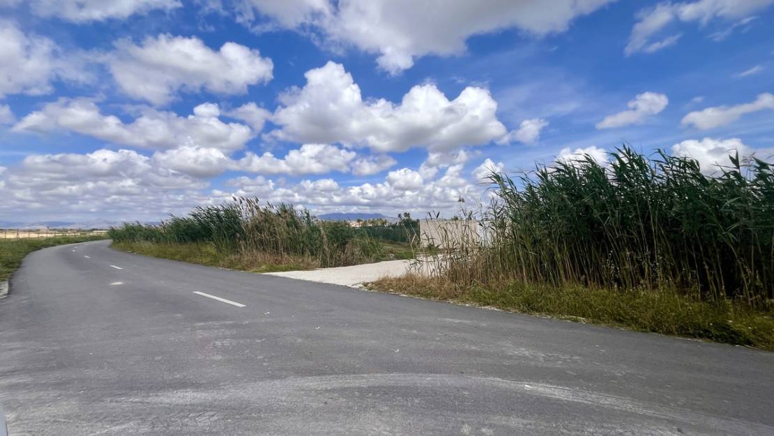 Sale - Land - Catral - Catral Centro