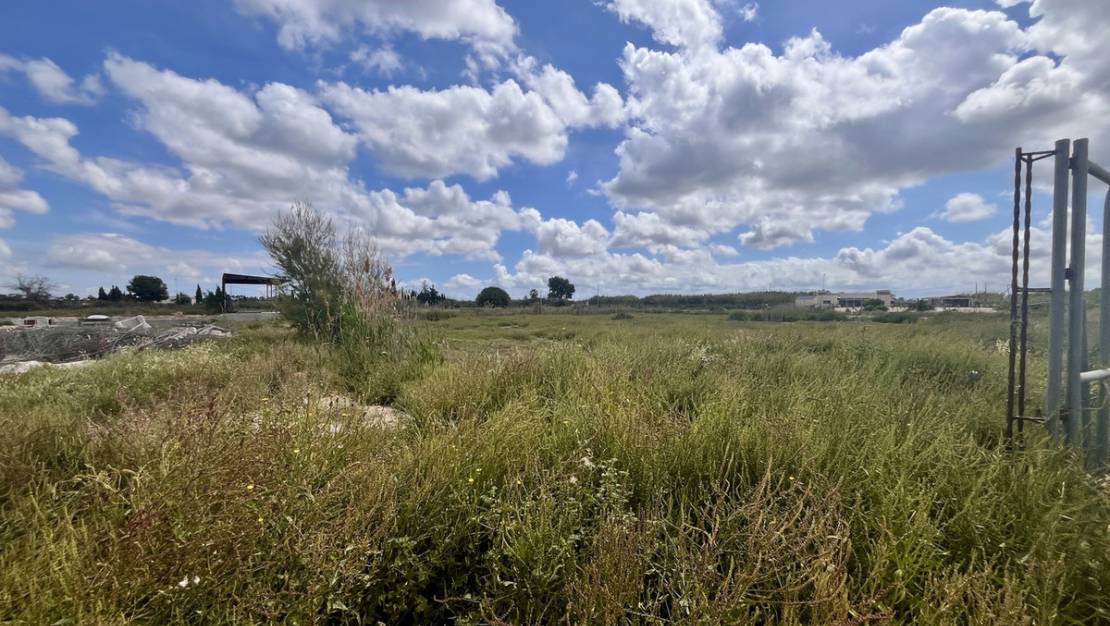 Sale - Land - Catral - Catral Centro