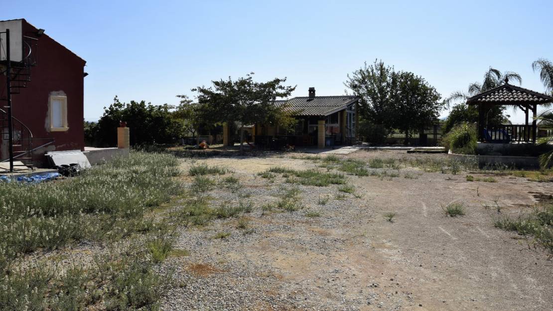 Sale - Land - Catral - Catral Centro