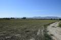 Sale - Land - Catral - Catral Centro