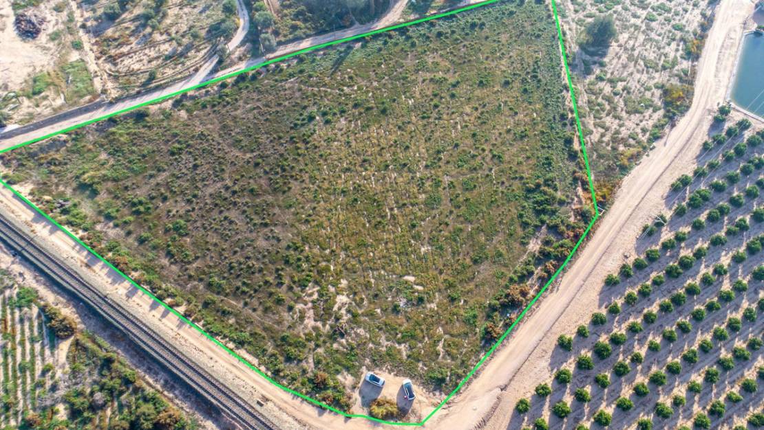 Sale - Land - Crevillente - Crevillent - Crevillente - Crevillent Centro