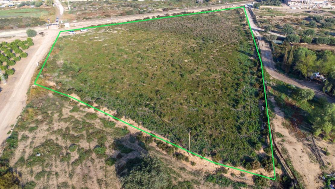 Sale - Land - Crevillente - Crevillent - Crevillente - Crevillent Centro