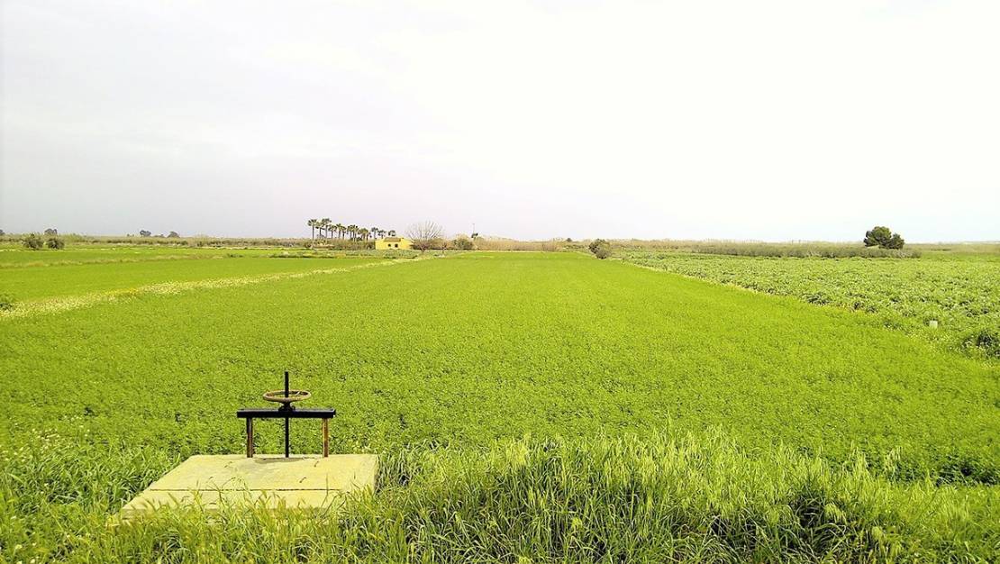 Sale - Land - Dolores - Dolores Centro