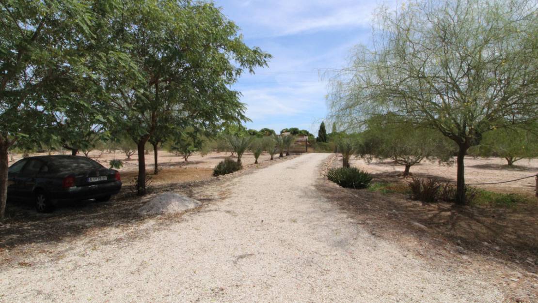 Sale - Land - Elche - Elche Centro