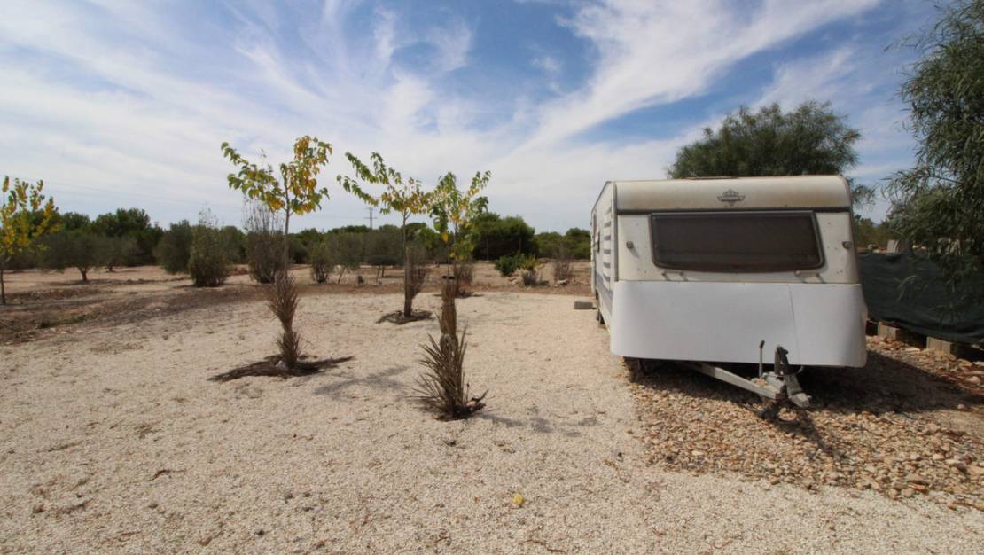 Sale - Land - Elche - Elche Centro