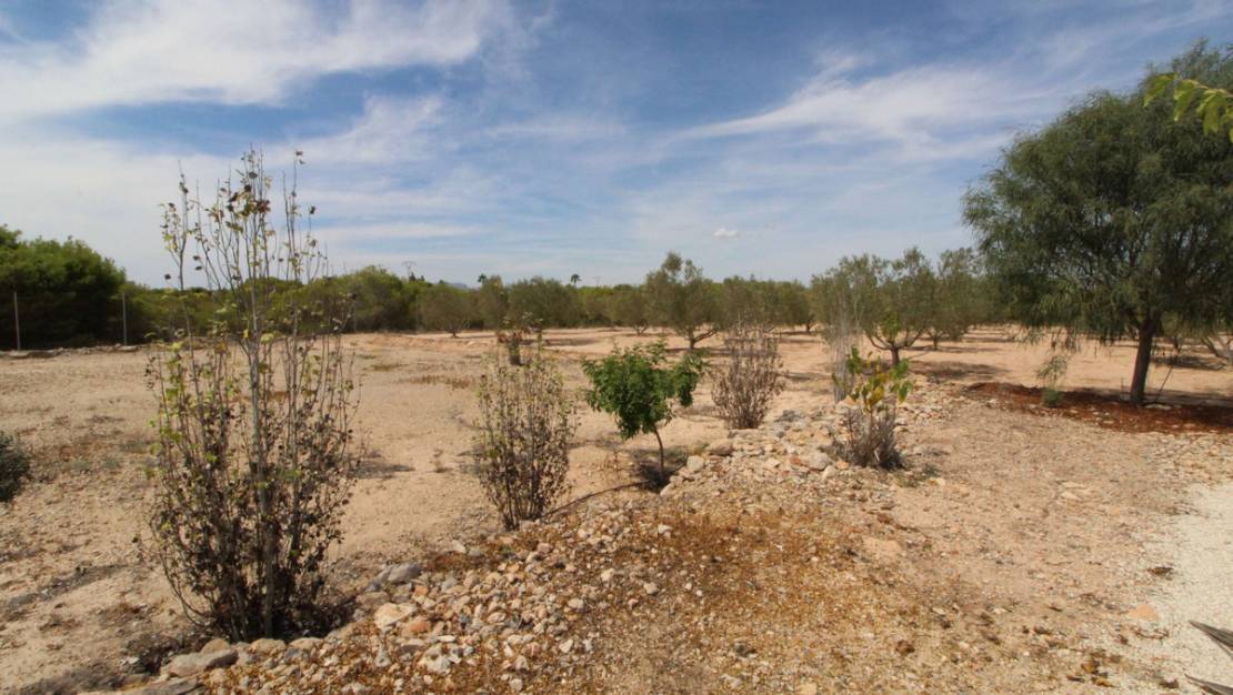 Sale - Land - Elche - Elche Centro