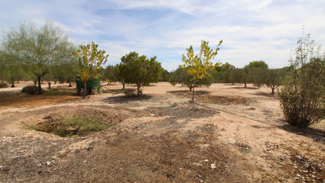 Sale - Land - Elche - Elche Centro